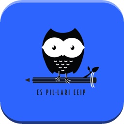 CEIP Es Pil·larí