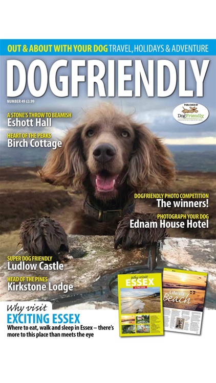 Dog Friendly Magazine