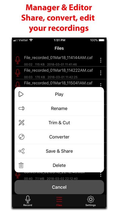 Voice Recorder - Voice Memo screenshot 2