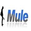 Mule 뮬 - 중고악기 매매 장터