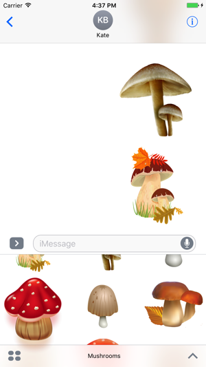 Mushrooms iMessage Edition(圖3)-速報App