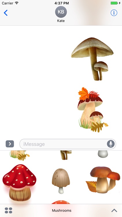 Mushrooms iMessage Edition