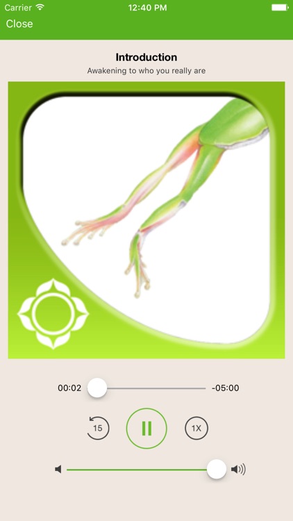Leap Before You Look - Arjuna Ardagh