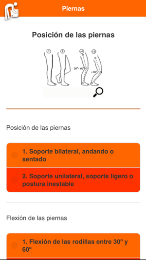 Carga postural REBA(圖4)-速報App