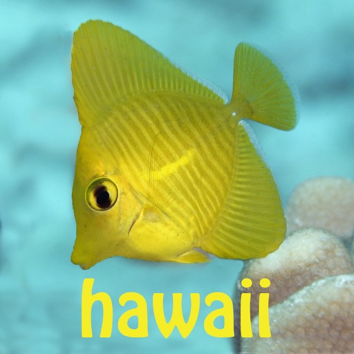 Snorkel Fish Hawaii for iPhone