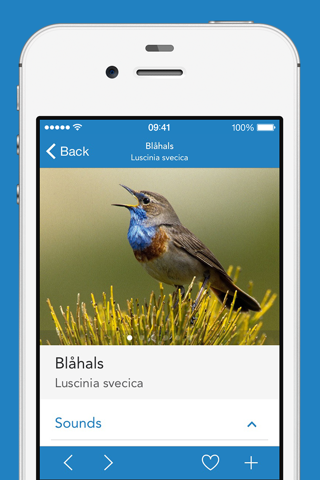 iKnow Birds 2 PRO - Europe screenshot 3