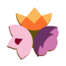 Activities of Flower Puzzles: New Brain Game