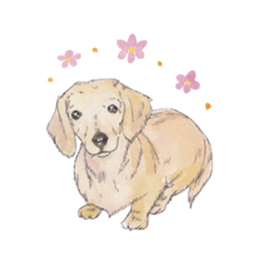 Weeniemoji - Miniature Dachshund Dog Sticker icon