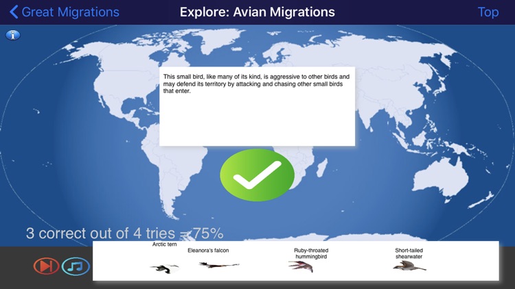 Great Migrations