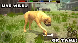 Ultimate Dog Simulator - Screenshot 3