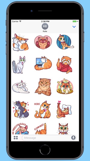 Amazing Cats Stickers