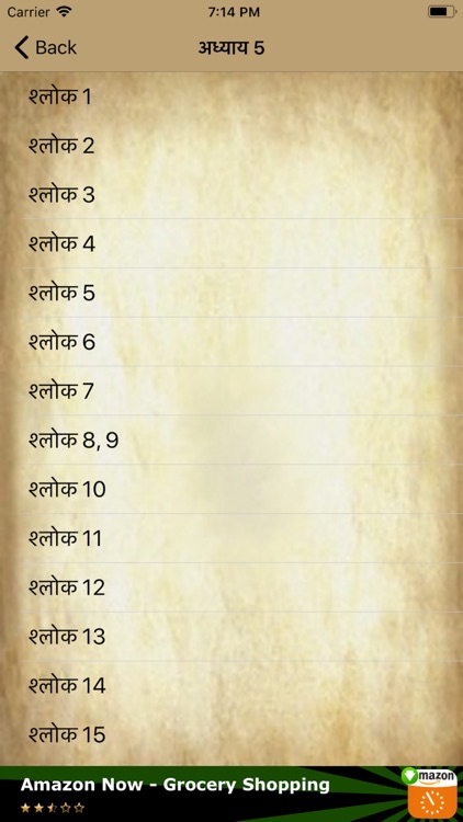 Bhagavad Geeta in Hindi screenshot-3