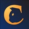 Neko chat - Blinded Random chat, real-time blind date & meeting