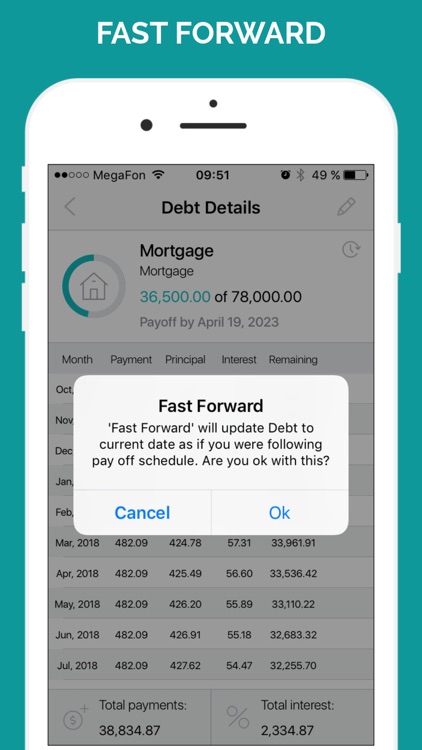 Debt Free Box: Snowball screenshot-3