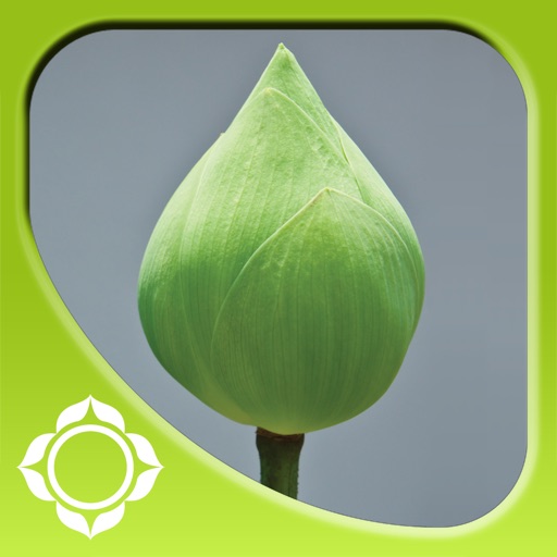 Guided Meditations for Self-Healing