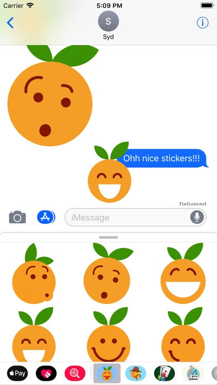 Clementine Orange Stickers