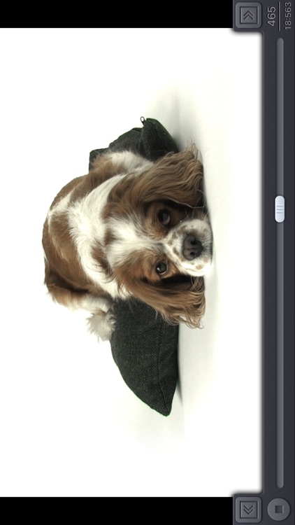 Video 2 Photo - HD screenshot-7