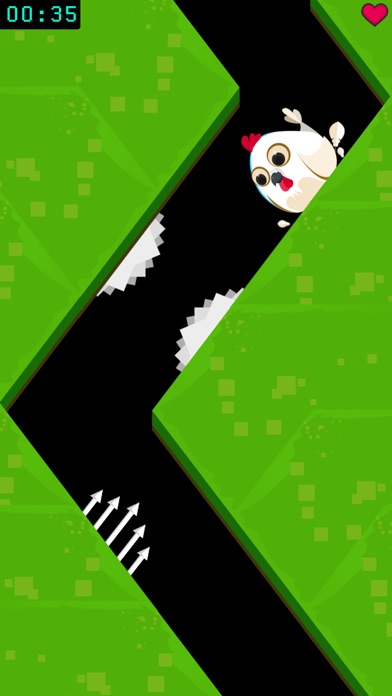 ZigZag Fall screenshot 3