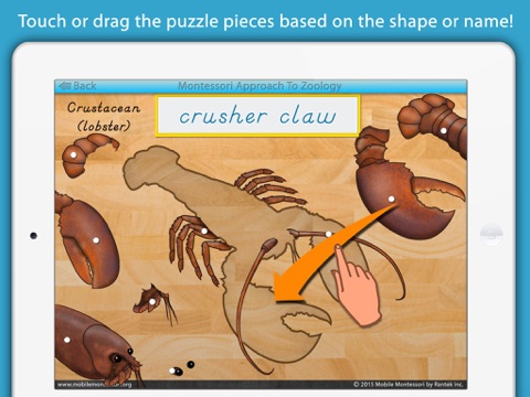 Parts of Invertebrate Animals screenshot 4