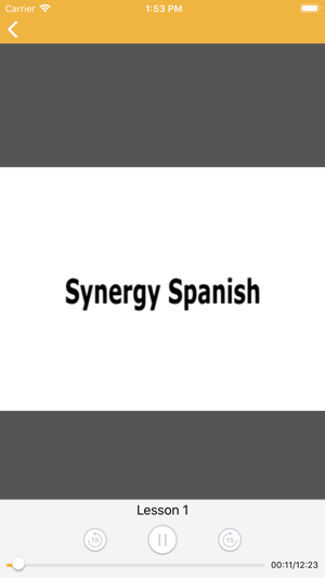 Synergy Spanish 8X(圖3)-速報App