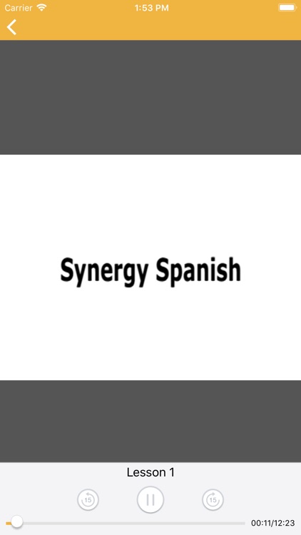 Synergy Spanish 8X