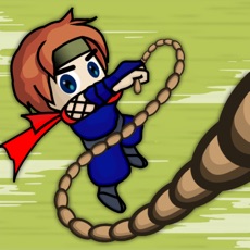 Activities of SpiderNinja