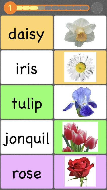 Flashcards by NKO