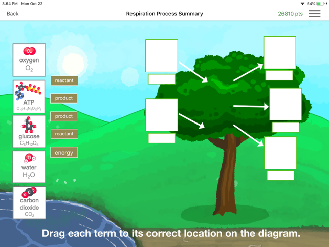 CellEnergy Photosynthesis Labs(圖3)-速報App