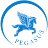 Pegasus Limo