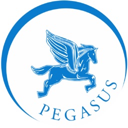 Pegasus Limo