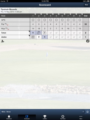 Tipsinah Mounds Golf Course screenshot 3