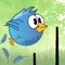 Guide these little cute birds through a world full of danger
