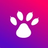 猫熊-游戏社交技能分享服务平台