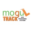 Mogul Track