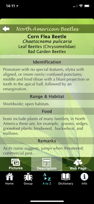 North American Beetles(圖5)-速報App