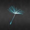 Welcome to the official Pneuma Church app