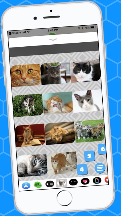 Lovable Cat Stickers screenshot-3