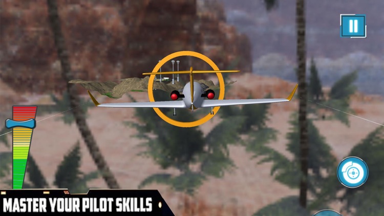 Airplane Flying Pilot Sim