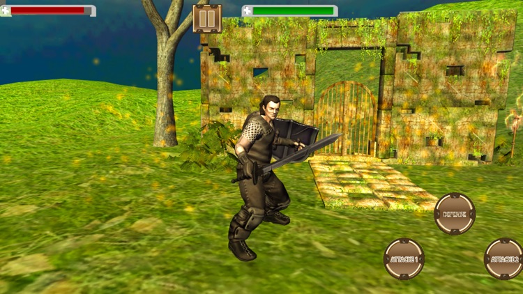 Shadow Sword Fight Simulator