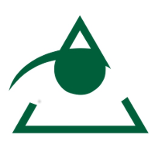 Brisbane Consulting Group