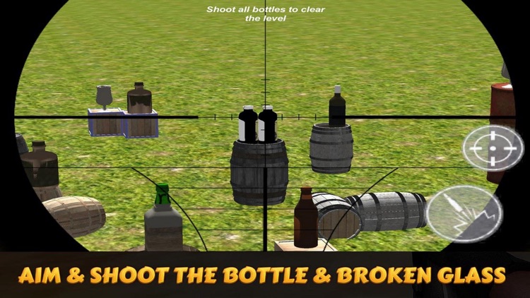 US Expert Bottle Shooter 3D