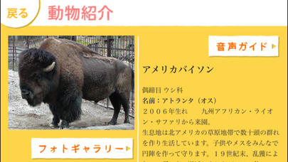 i動物園 for 池田動物園のおすすめ画像3