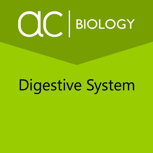 Digestive System