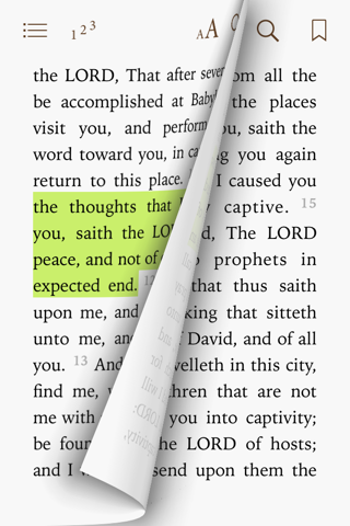 Bible - The Holy Bible - náhled