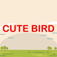 Activities of Game Cute Bird