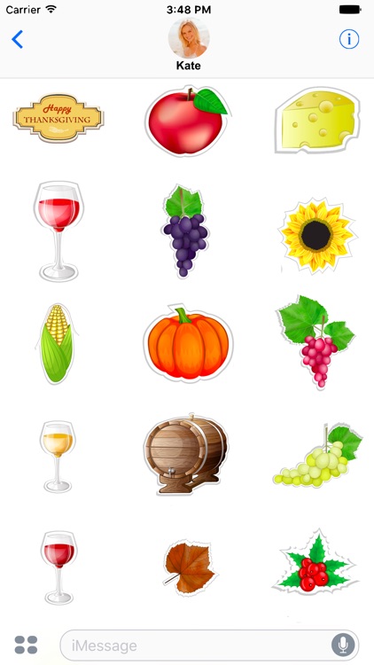 Happy Thanksgiving Stickers! screenshot-3