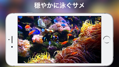 アクアリウムHD + screenshot1