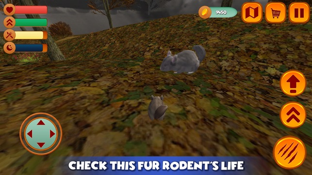 Furry Chinchilla Animal Sim(圖1)-速報App