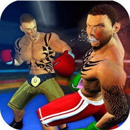 Boxing Stars Punch 3D