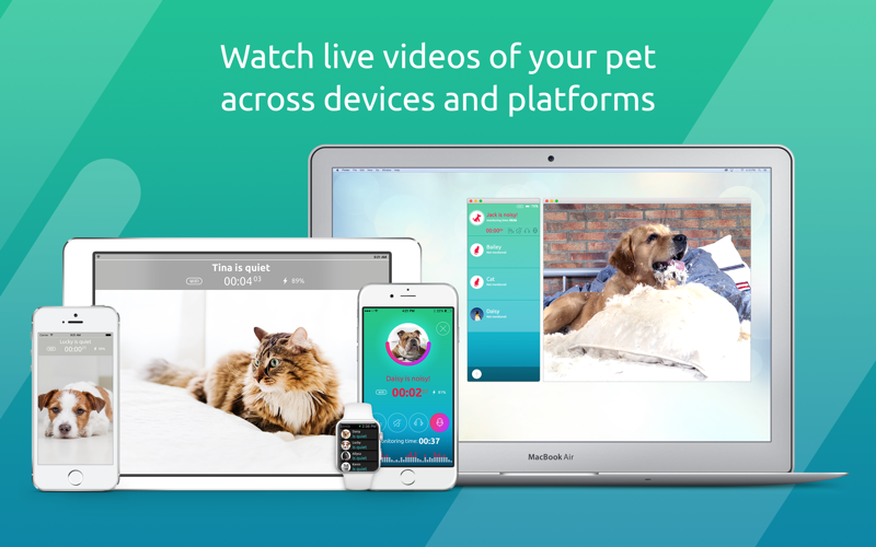 Dog Monitor: Pet Video Camera screenshot 4